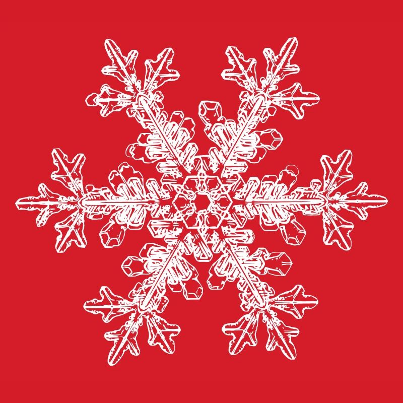 snowflake 7 white