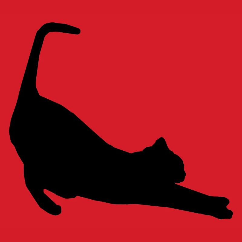 Katze