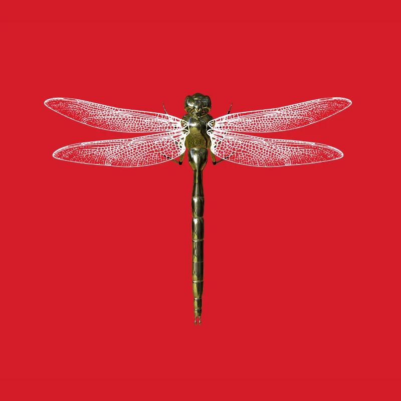 libellule