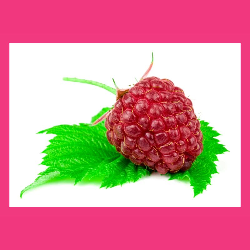 Himbeere. raspberry