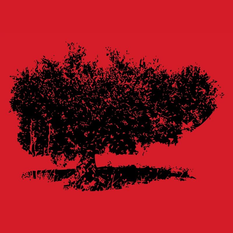 Olive tree
