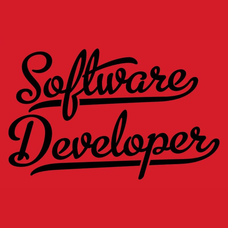 Software Developer