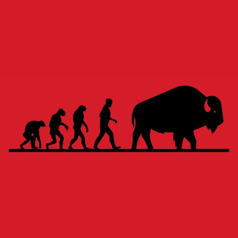 évolution du buffle