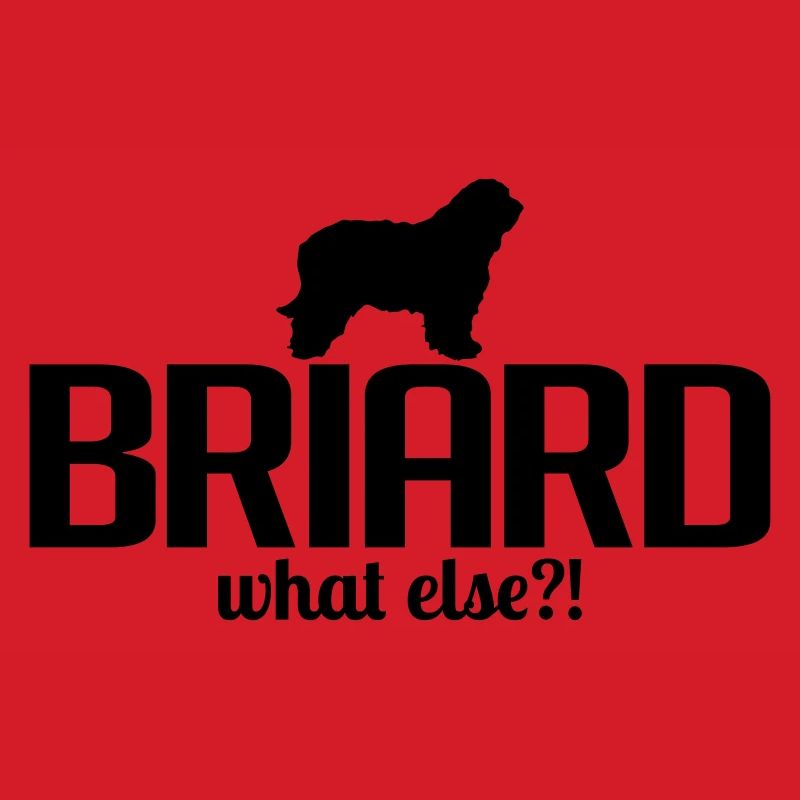 BRIARD what else