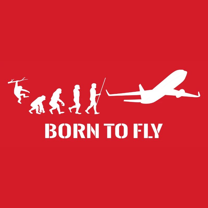 Flugzeug Evolution Pilot Fliegen Flugsport