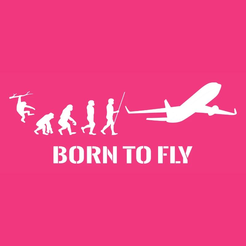 Flugzeug Evolution Pilot Fliegen Flugsport