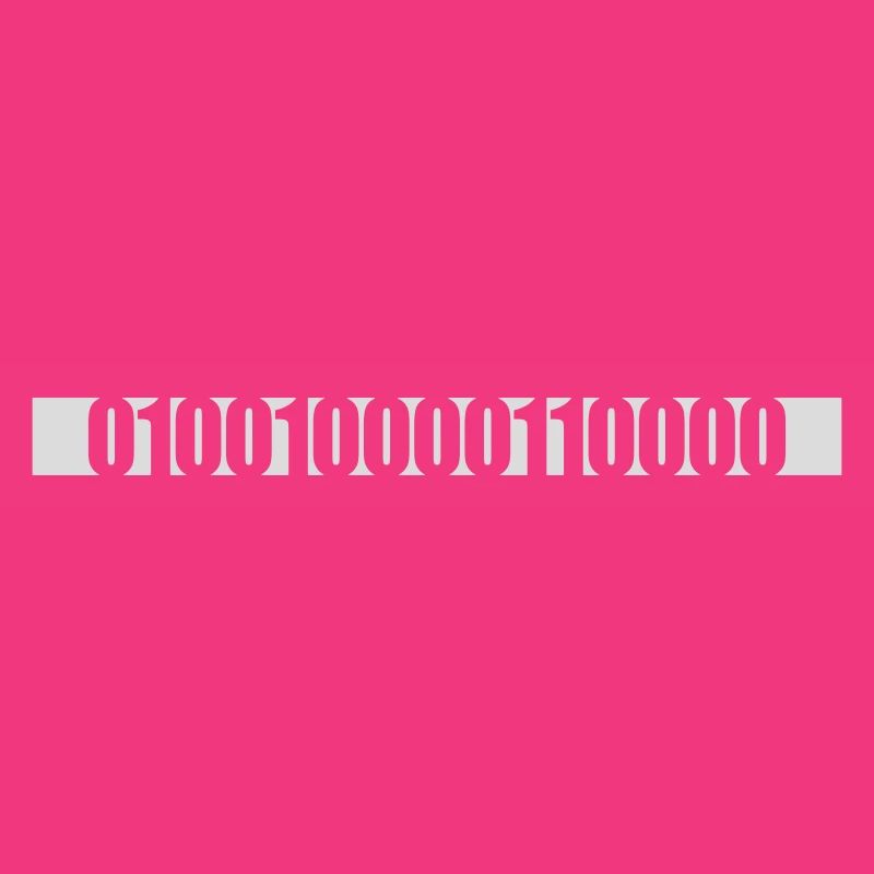 Langage de programme de code binaire