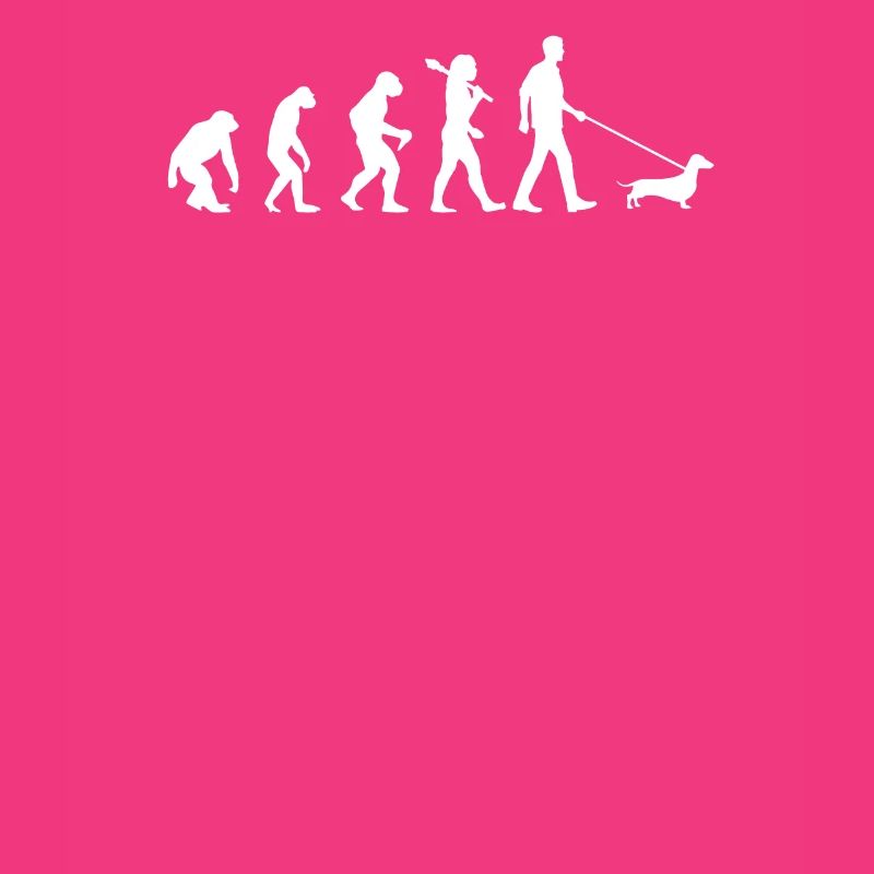 Evolution du teckel