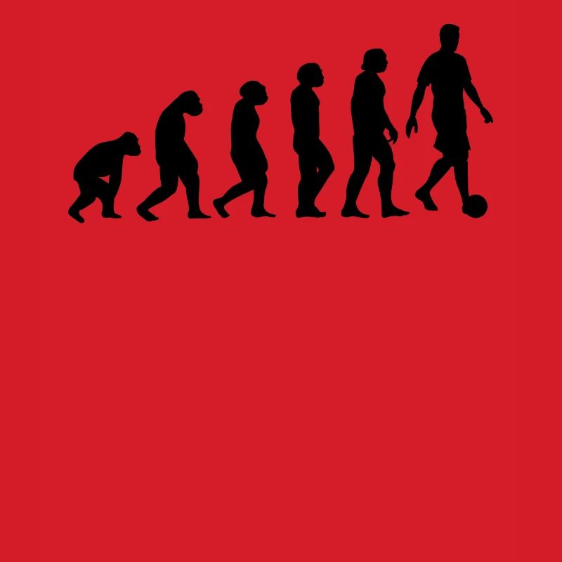 Soccer Evolution