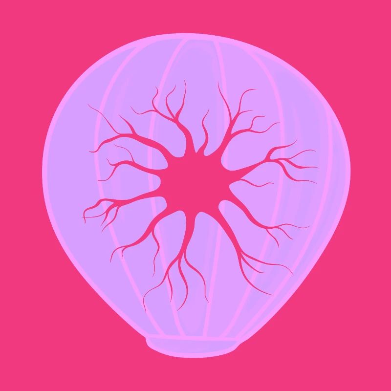 Biologie Evolution Studium