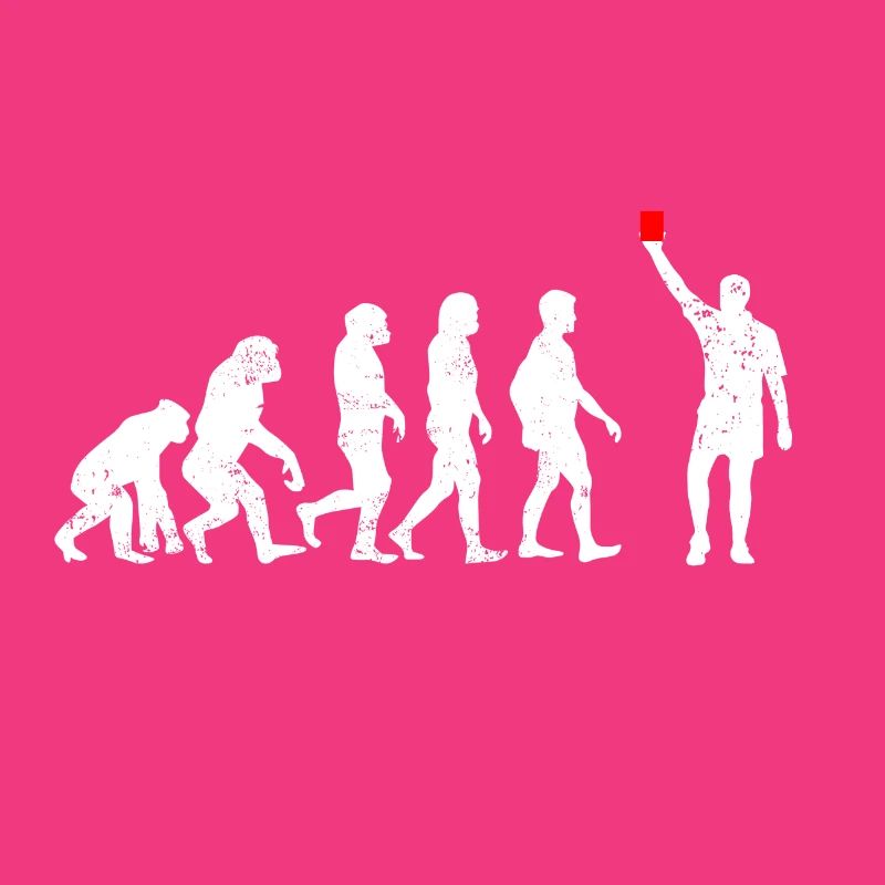Evolution Referee