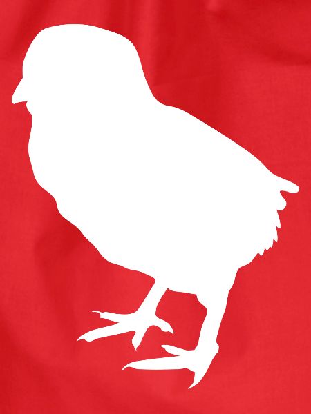 poussin