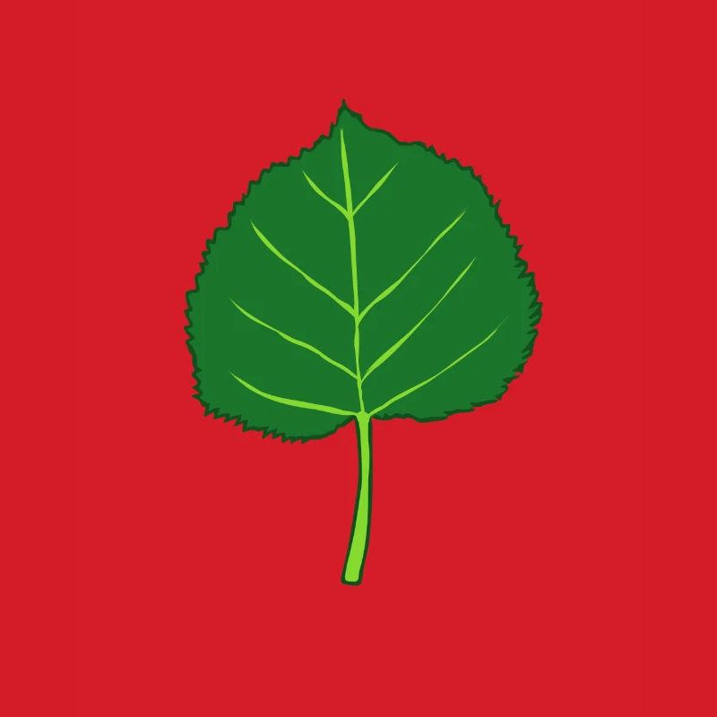 Linde - Baum - Blatt