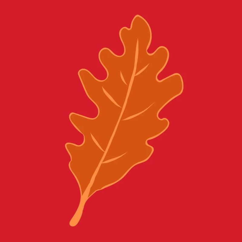 Eiche - Eichenblatt - Herbst