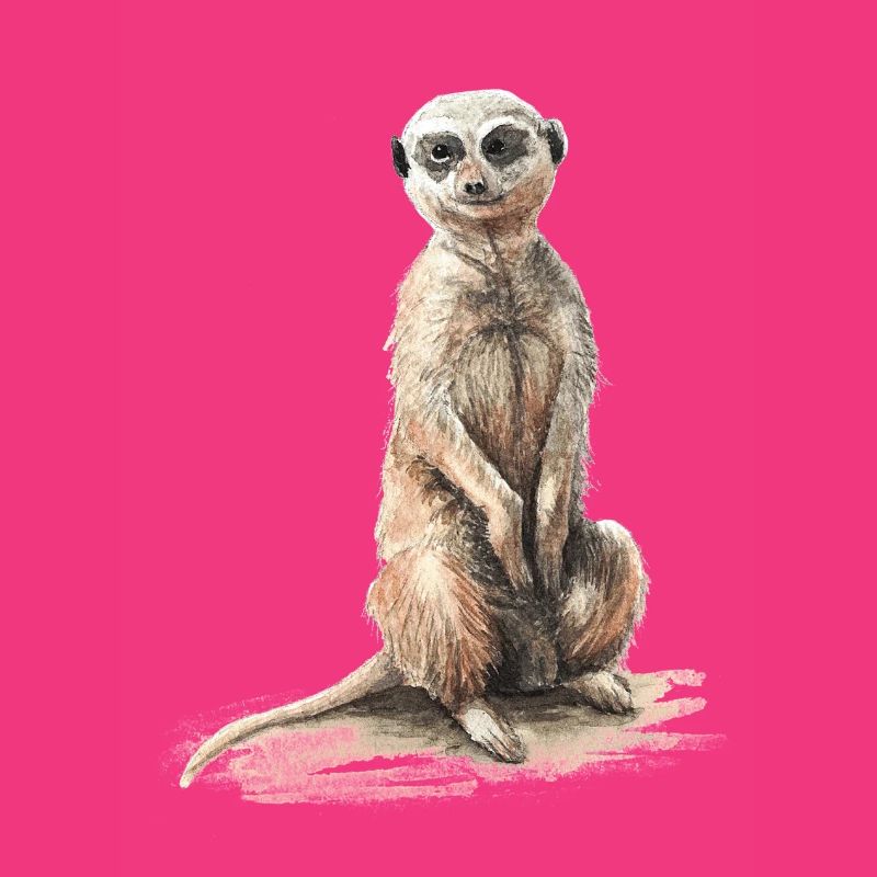 Erdmännchen