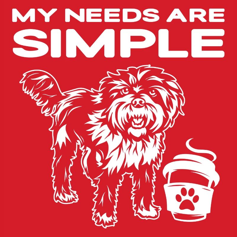 Cavapoo Cavoodle Capoodle Chien
