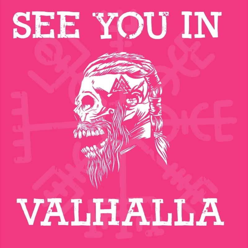 Rendez-vous à Vallhalla Compass Vikings