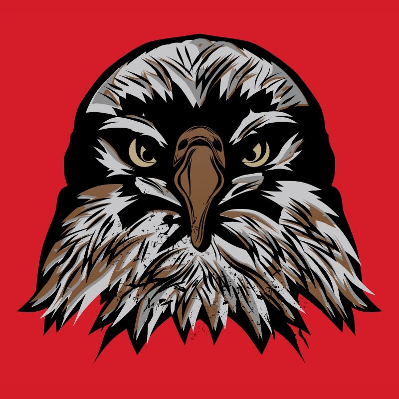 head eagle fancy drawing