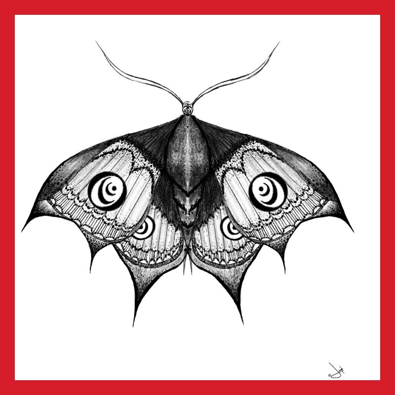 Ink Moth Black