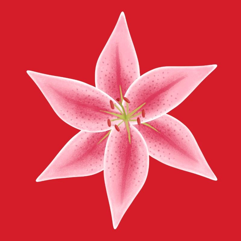 fleur de lys rose et blanche