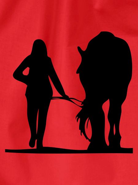 Pferd führen