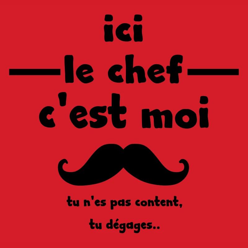 ici le chef c'est moi tu n'es pas content