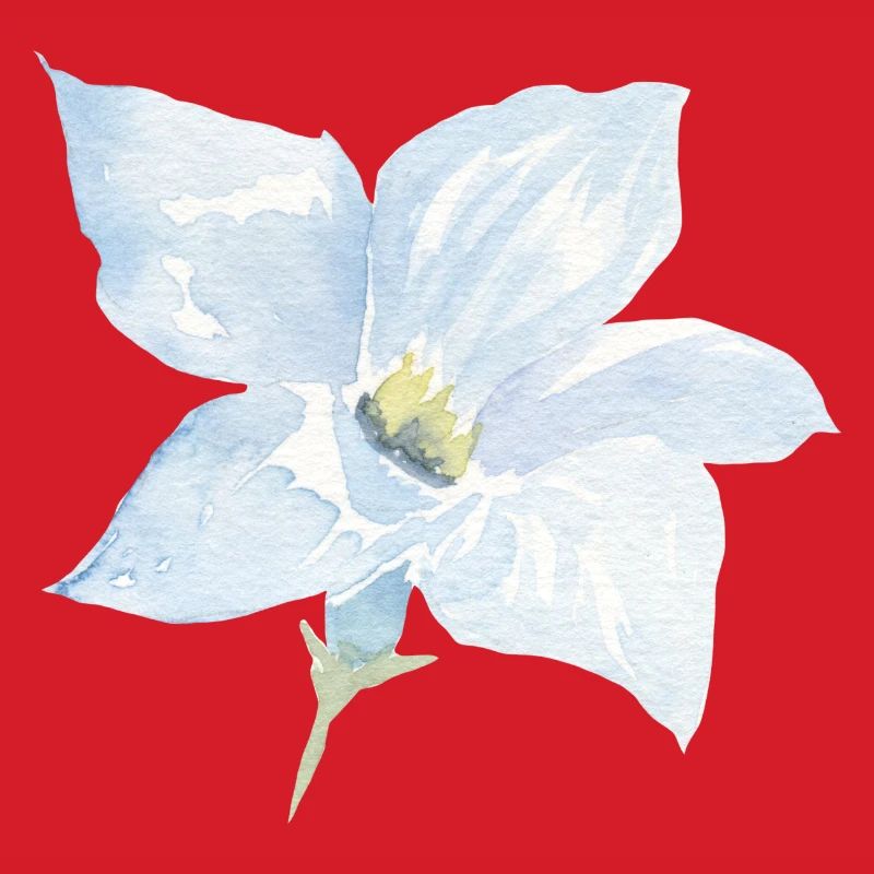 Blume