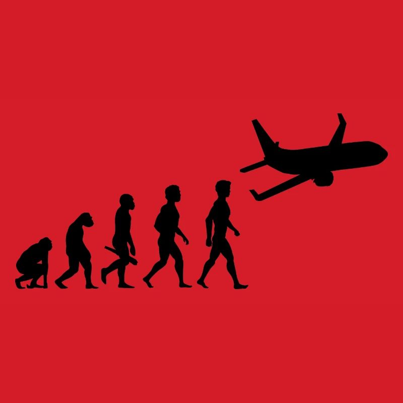 avion volant cockpit aviator pilote d'évolution