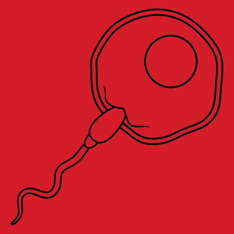 fertilization egg insemination egg sperm sperm