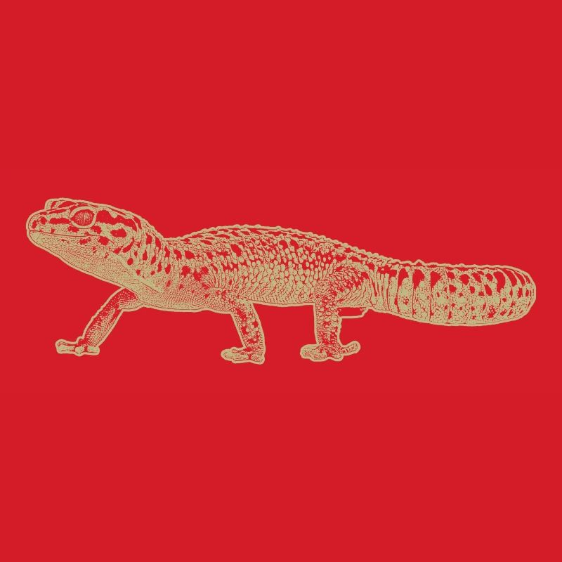 Leopardengecko
