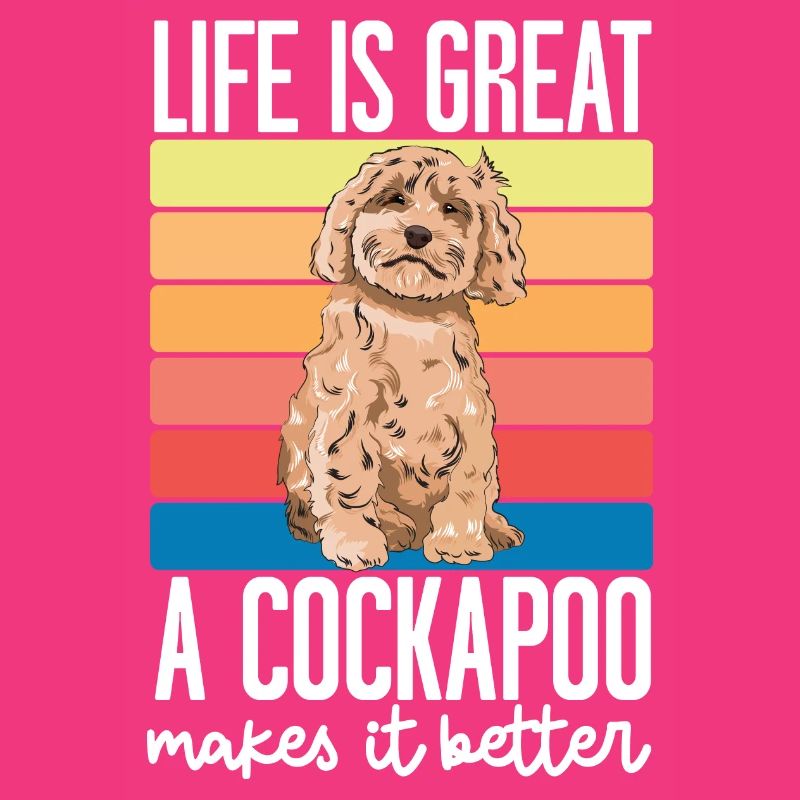 Cockapoo Hund