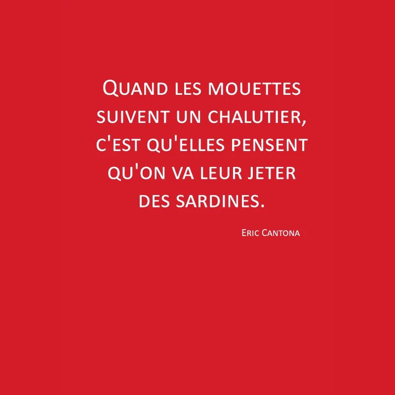 Seagulls - Eric Cantona