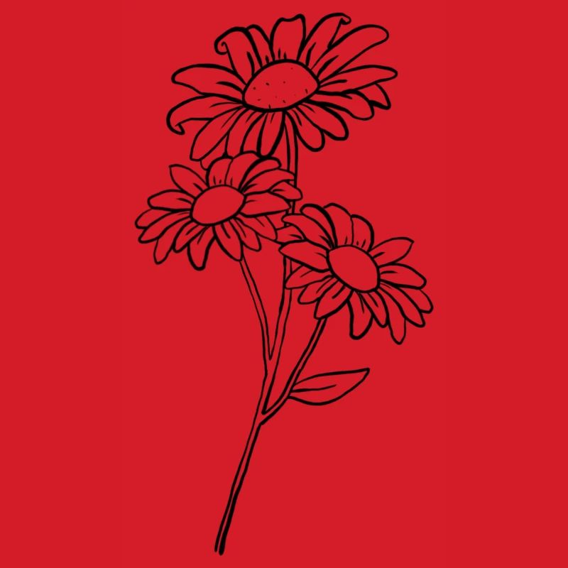 Gänseblümchen / Daisy