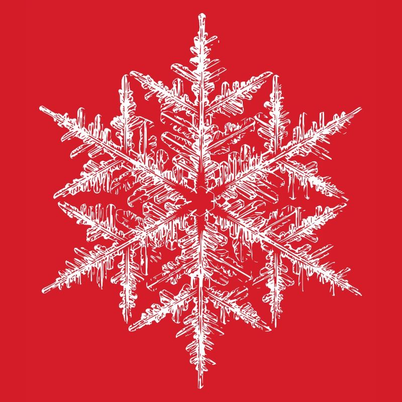 snowflake 5 white
