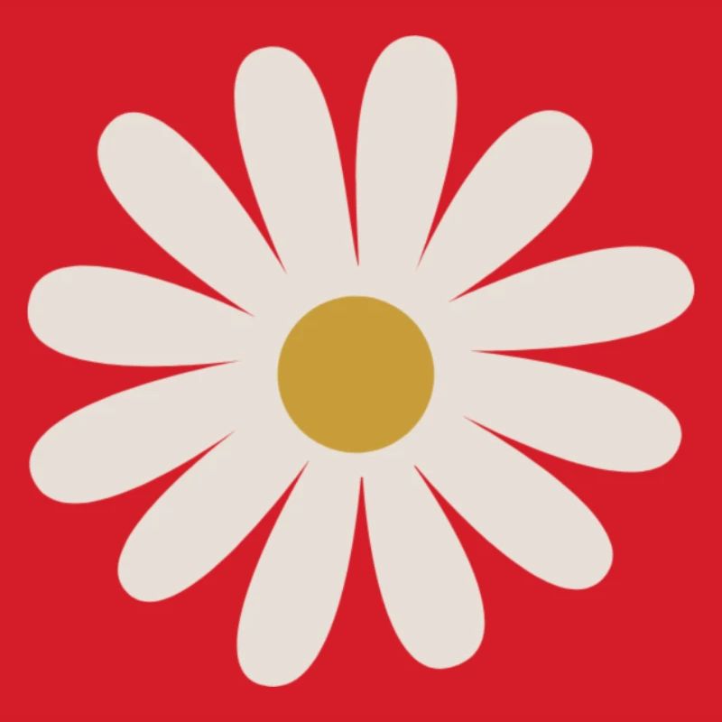 Gänseblümchen