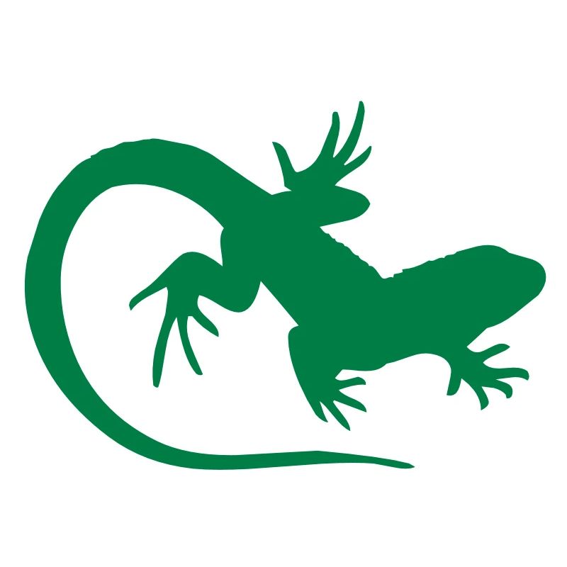 salamander