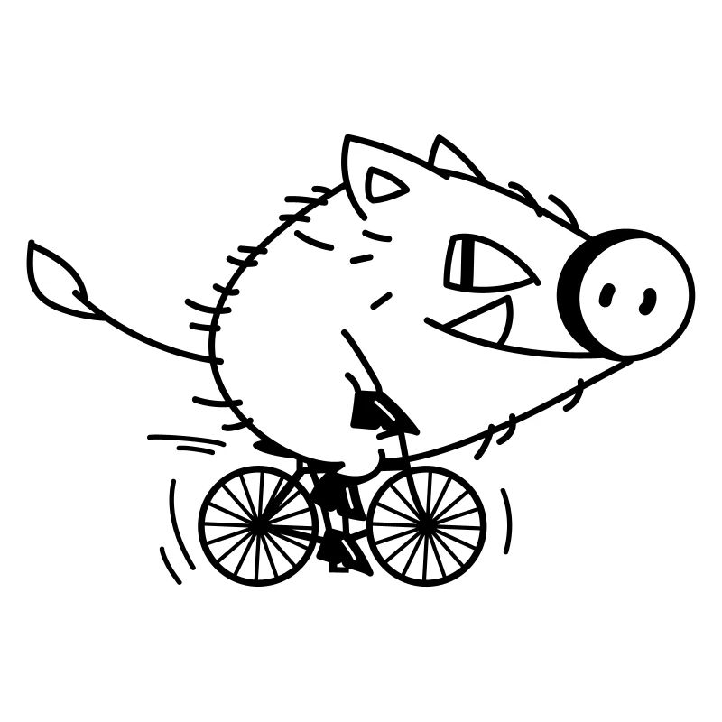 Funny boar rides a bicycle c