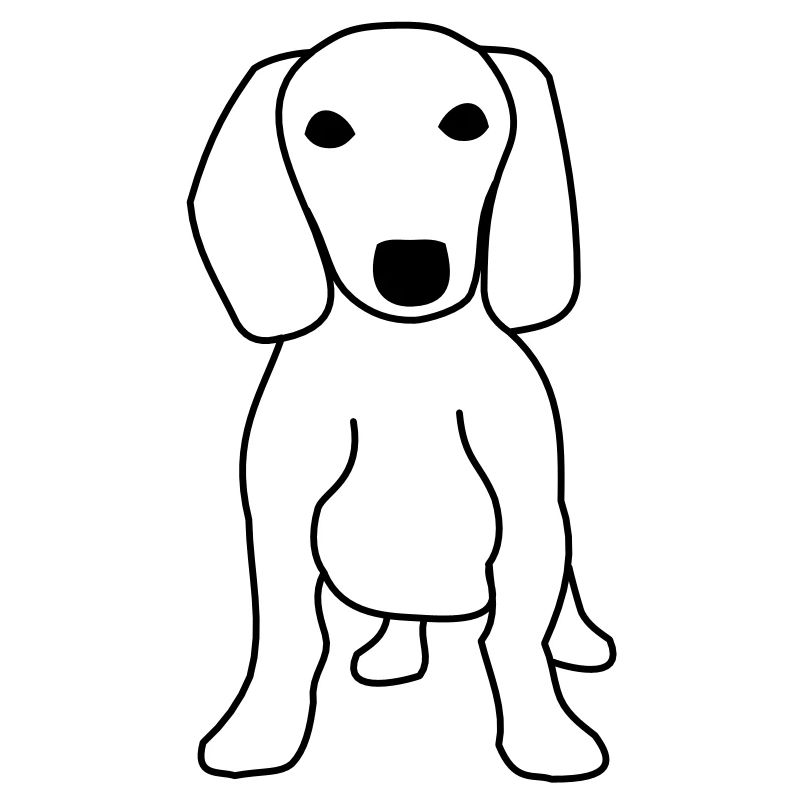 dackel