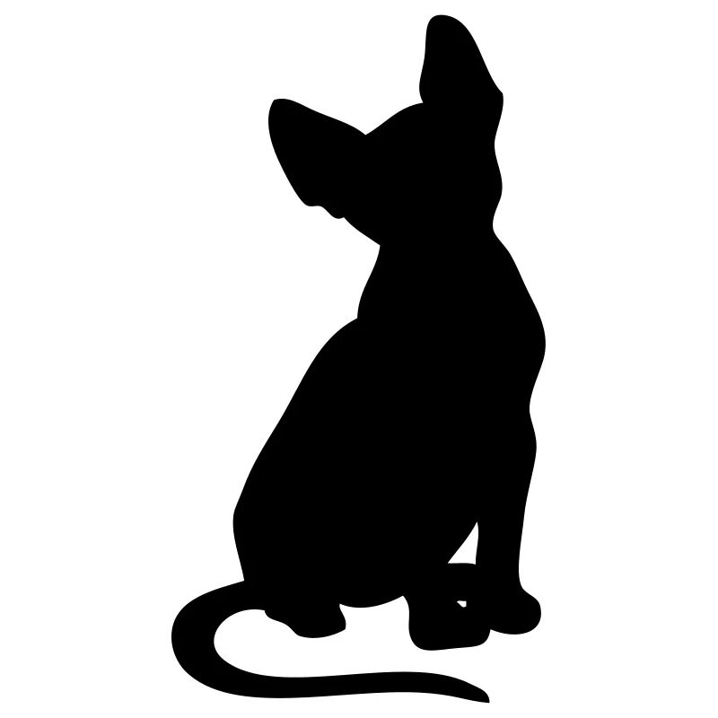 Sphynx - libre choix de la couleur