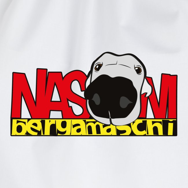 nasoni bergamaschi logo