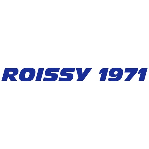 ROISSY 1971 - Sac de sport léger