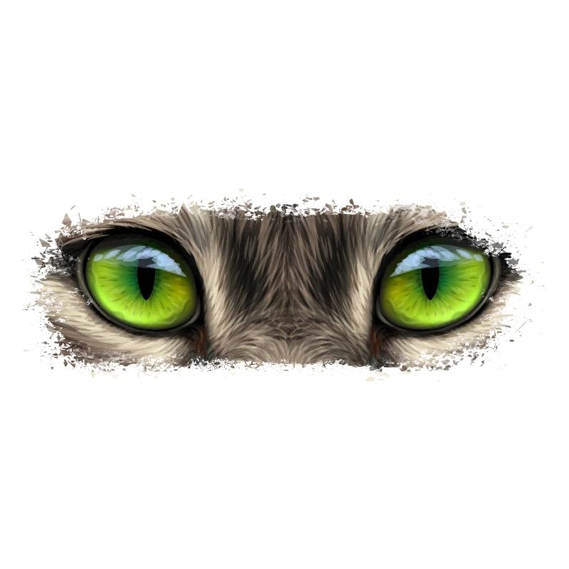 Animals eye