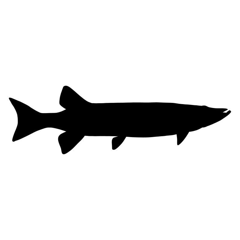 pike