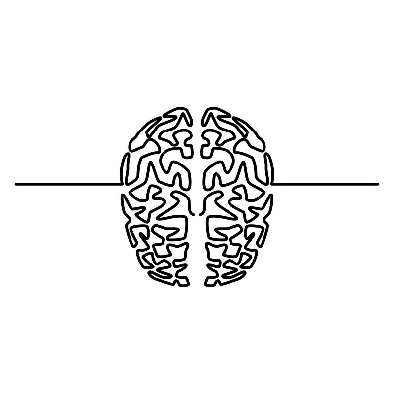 brain