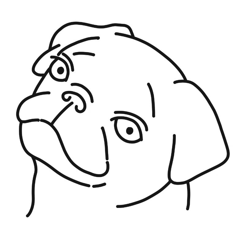 pug