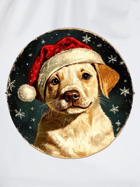 Border Collie Weihnachten
