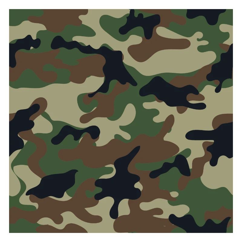 Wallpapered traditional camouflage patterns