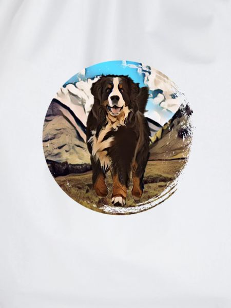 Berner Berghund