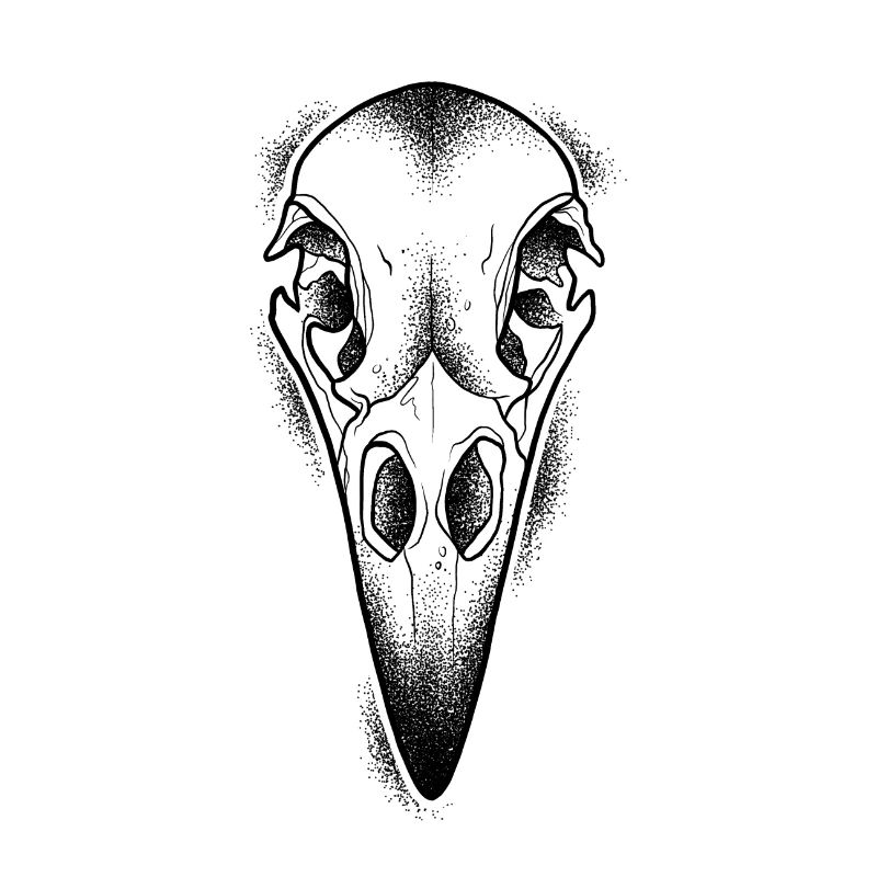 Dotwork raven skull