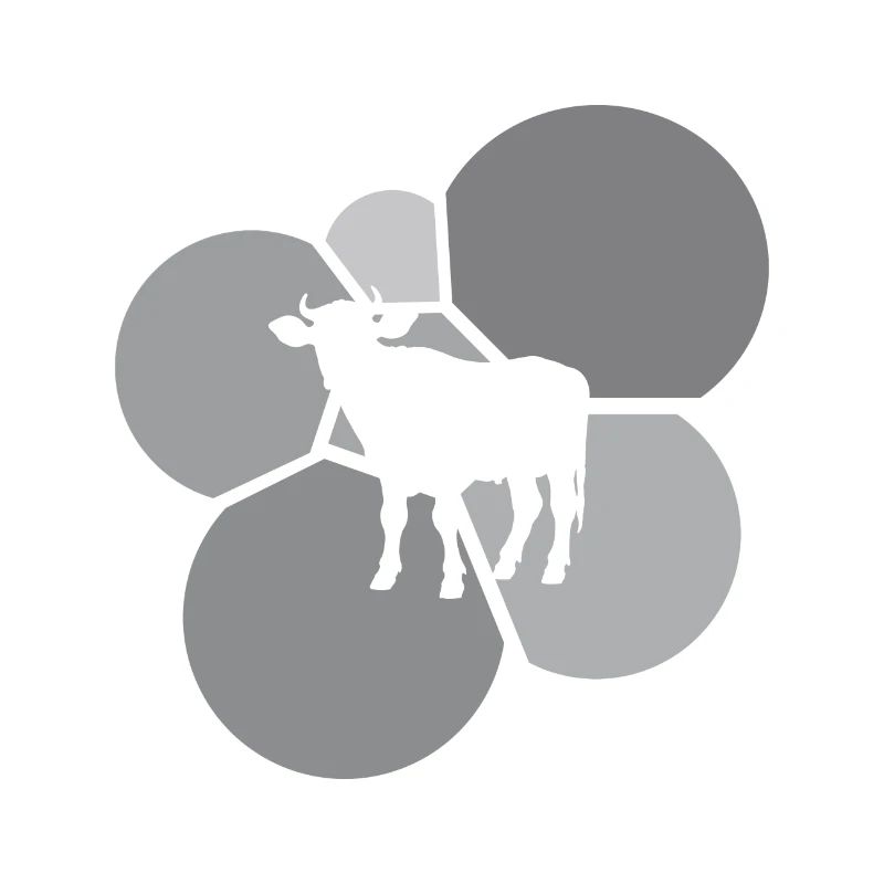 Cows Cattle Farmer